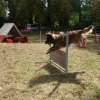 foire-haricots 2011-09-17et18